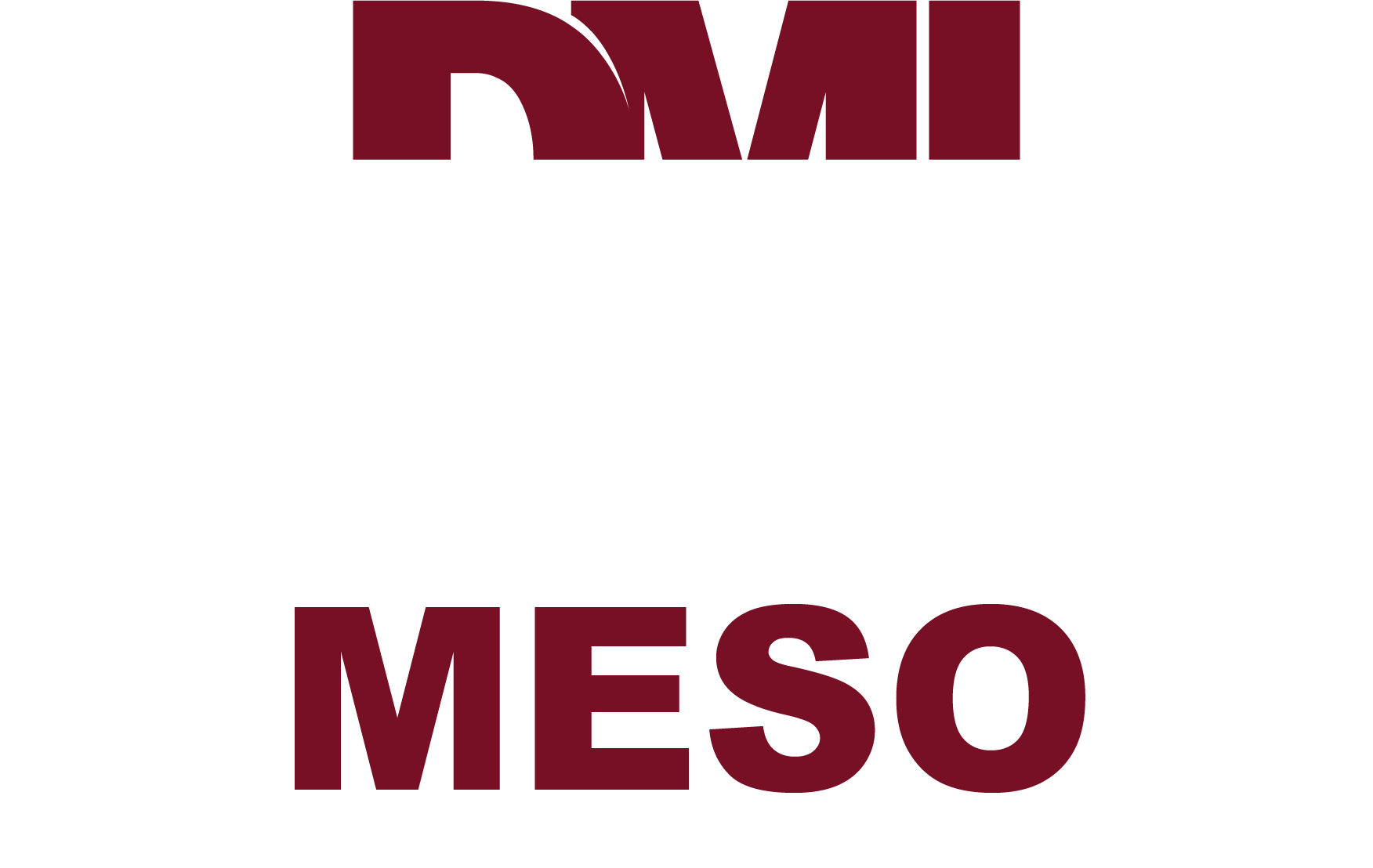 DMI Logo